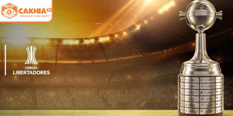 Copa Libertadores Là Gì? Giải Bóng Đá Nam Mỹ Tại CakhiaTV 3 Hình thức thi đấu của giải Copa Libertadores