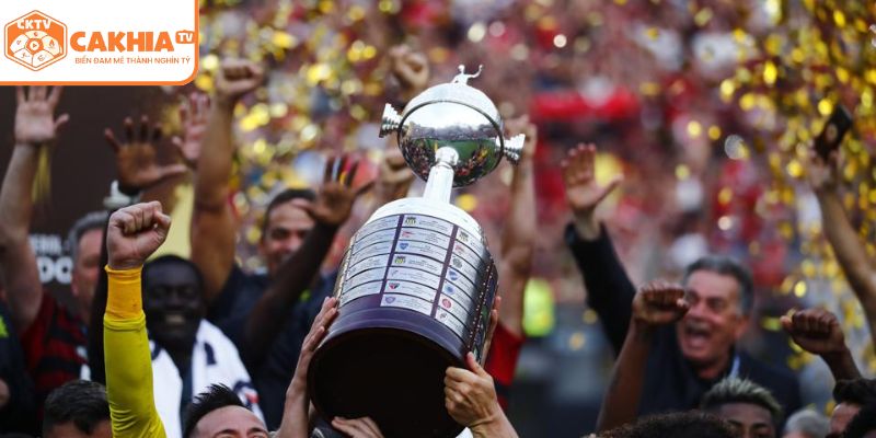 Copa Libertadores Là Gì? Giải Bóng Đá Nam Mỹ Tại CakhiaTV 2 Tìm hiểu Copa Libertadores là gì?